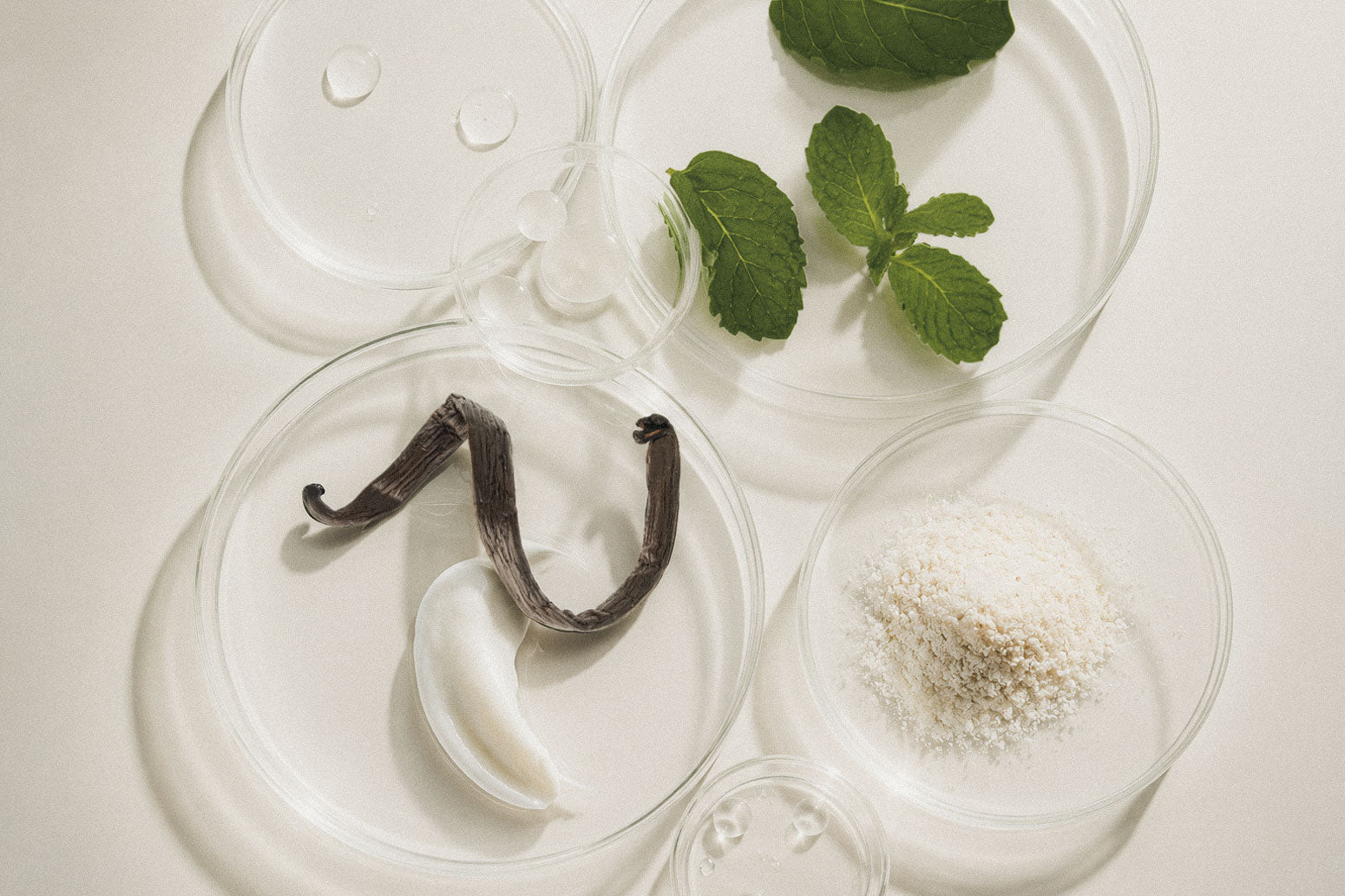Akla ingredient composition featuring Moroccan mint, vanilla bean, pearl powder, and hydroxyapatite in glass petri dishes — Swiss-made fluoride-free luxury oral care.