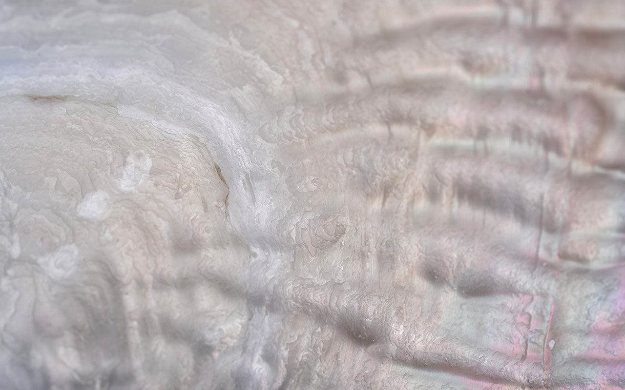 Close up of iridescent mother of pearl representing the pearl powder in our hydroxyapatite toothpaste.