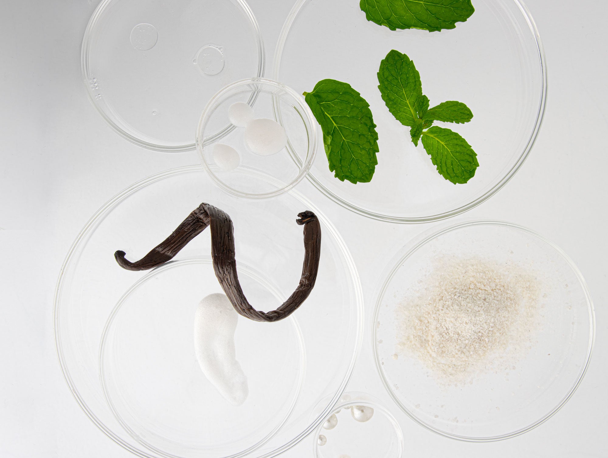 Vanilla bean and mint leaves on petri dishes with a white background, still life.