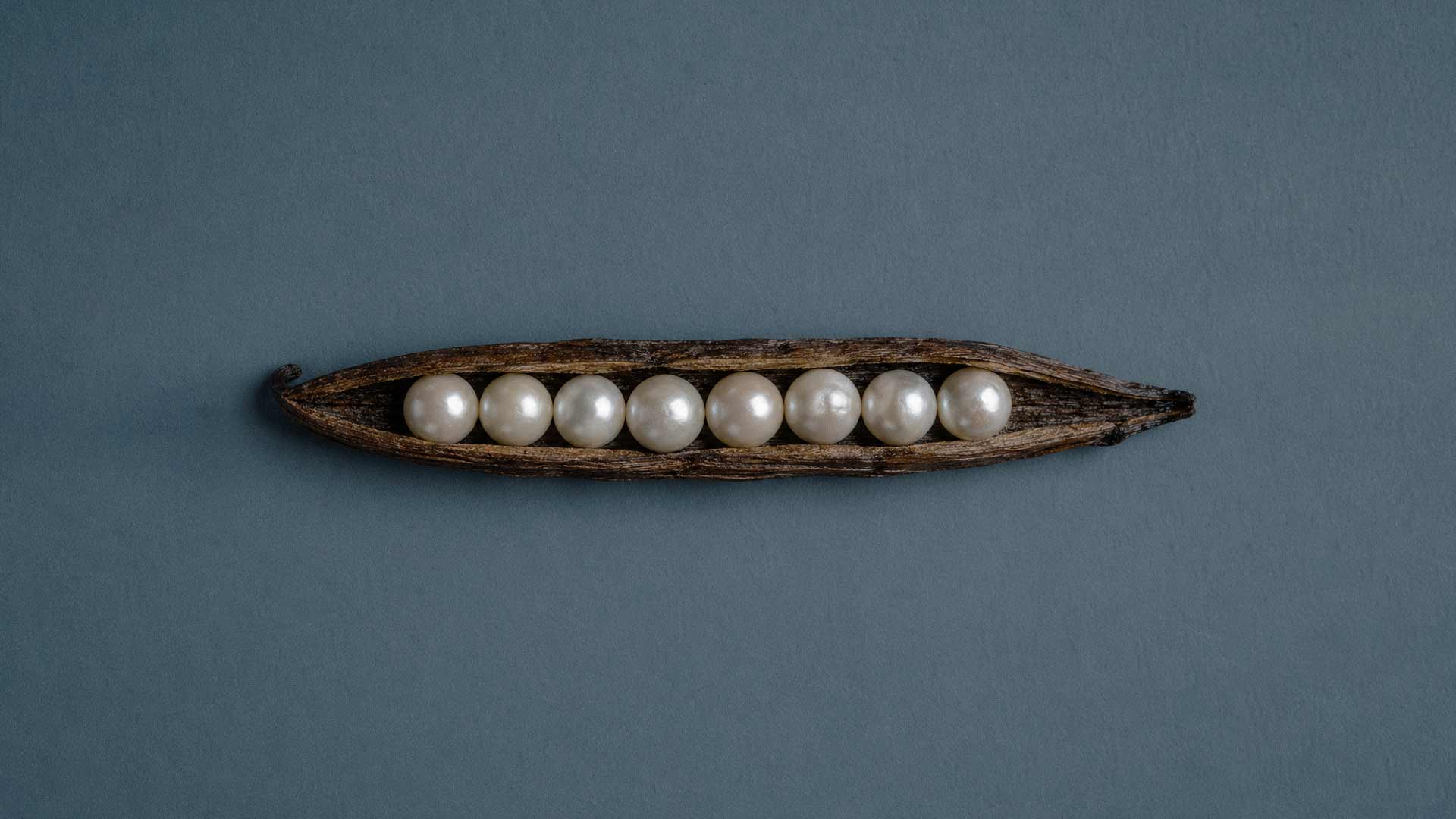 Vanilla beans and pearls in an editorial still life representing Akla’s signature ingredients and refined approach to luxury oral care.